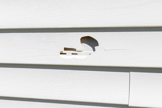Best Stone Veneer Siding  in Sultana, CA